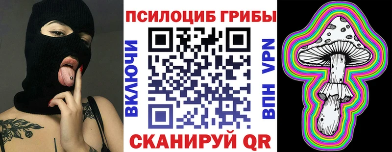 Купить где  Кологрив  Галлюциногенные грибы GOLDEN TEACHER 